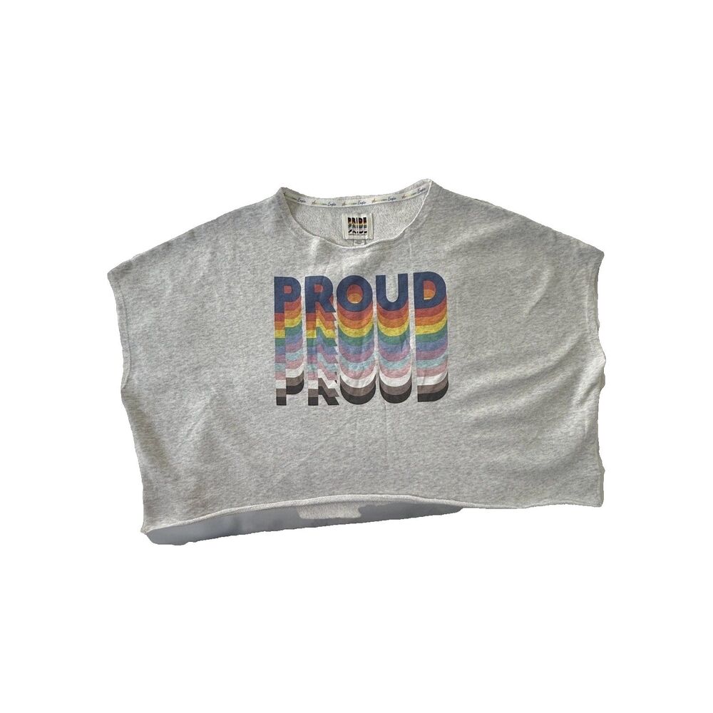 American Eagle Outfitters Pride Cropped Gray T-shirt Small Women's Casual Wear